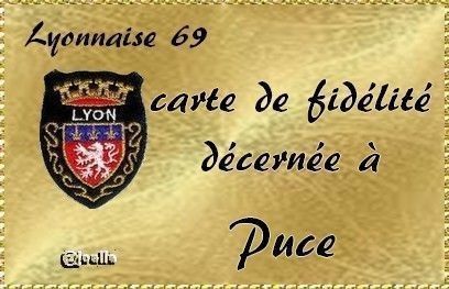 d3283d34.jpg