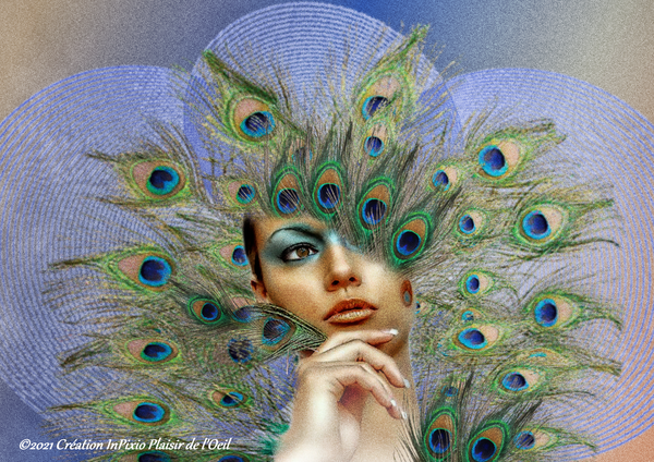 Plumes de Paon