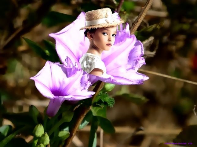 fleur-de-patate-douce-capverdienne-jolie-corolle-mauve-violette-700-119903_InPixio_InPixio.jpg