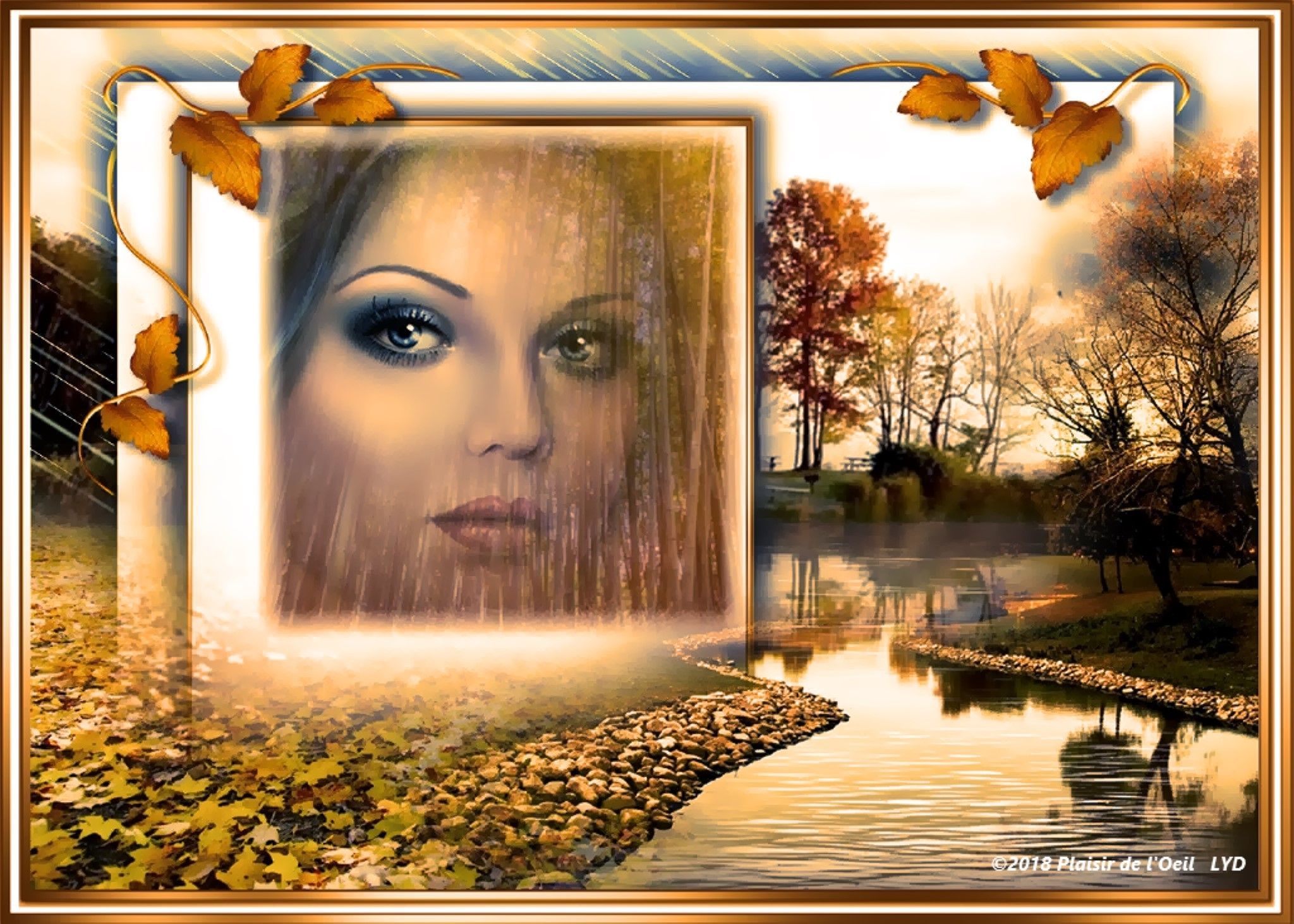 Regard Sur Les Saisons Qui Passent 